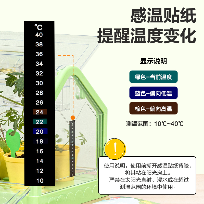 尊龙凯时YX428莳植阳光房(绿)(盒)